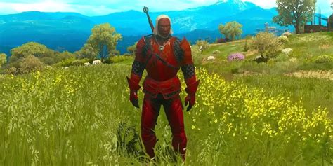 witcher hen gaidth armor